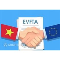 Quyền sở hữu trí tuệ (IPRs), thương mại và phát triển bền vững 