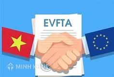 Quyền sở hữu trí tuệ (IPRs), thương mại và phát triển bền vững 