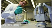 Phân tích tổ chức quản lý chương trình phát triển tài sản trí tuệ đến năm 2030