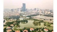 Nhiệm vụ, quyền hạn và cơ cấu tổ chức của chính quyền địa phương ở thành phố trực thuộc trung ương