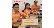 Nhiệm vụ, quyền hạn và cơ cấu tổ chức của Chính quyền địa phương ở thị xã, thành phố thuộc tỉnh, thành phố thuộc thành phố trực thuộc trung ương