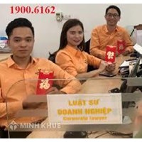 Nhiệm vụ, quyền hạn và cơ cấu tổ chức của Chính quyền địa phương ở thị xã, thành phố thuộc tỉnh, thành phố thuộc thành phố trực thuộc trung ương