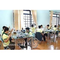 Quyền làm việc của người khuyết tật theo pháp luật Việt Nam