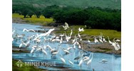 Thành lập cơ sở bảo tồn đa dạng sinh học
