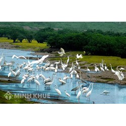 Thành lập cơ sở bảo tồn đa dạng sinh học