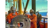 Quản lý và sử dụng vốn tại công ty mẹ - tập đoàn dầu khí Việt Nam
