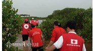 Quy định của pháp luật về hoạt động chữ thập đỏ