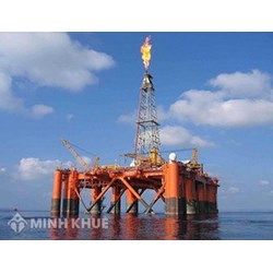 Phân tích về sự quản lý và sử dụng tài sản của của Công ty mẹ theo Nghị định 36/2021/NĐ-CP