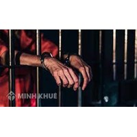 Nội dung của học thuyết phạm tội thừa kế? Việt Nam đã ứng dụng của học thuyết phạm tội thừa kế như thế nào?