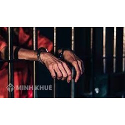 Nội dung của học thuyết phạm tội thừa kế? Việt Nam đã ứng dụng của học thuyết phạm tội thừa kế như thế nào?