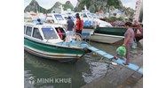 Cấp biển hiệu phương tiện vận tải khách du lịch