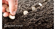 Quyết định giảm tiền thuê đất cho đối tượng bị ảnh hưởng bởi dịch COVID-19