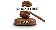 Những căn cứ để ấn định thuế đối với người nộp thuế trong trường hợp vi phạm pháp luật về thuế