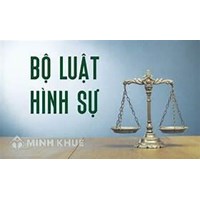 Khái niệm luật hình sự Việt Nam là gì ? Đối tượng điều chỉnh của luật hình sự 