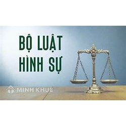 Khái niệm luật hình sự Việt Nam là gì ? Đối tượng điều chỉnh của luật hình sự 