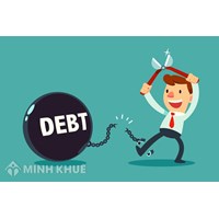 Nhiệm vụ và nguyên tắc hoạt động của công ty TNHH một thành viên Mua bán nợ Việt Nam?