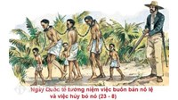 Quyền được bảo vệ để khỏi bị bắt làm nô lệ hay nô dịch và khỏi bị bắt, giam giữ tùy tiện và Quyền được đối xử nhân đạo của người bị tước tự do