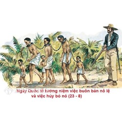 Quyền được bảo vệ để khỏi bị bắt làm nô lệ hay nô dịch và khỏi bị bắt, giam giữ tùy tiện và Quyền được đối xử nhân đạo của người bị tước tự do