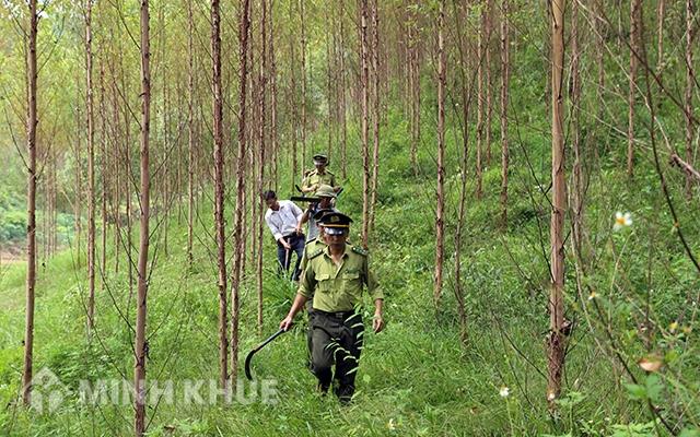 Ngoài dịch vụ môi trường rừng, còn có những dịch vụ môi trường nào khác?
