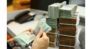 Hướng dẫn hồ sơ khoanh nợ thuế đối với người nộp thuế giải thể, phá sản, không còn hoạt động kinh doanh