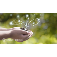 Thẩm quyền xác định địa giới hành chính, lập và quản lý hồ sơ địa giới hành chính?