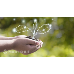 Thẩm quyền xác định địa giới hành chính, lập và quản lý hồ sơ địa giới hành chính?