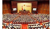 Các yếu tố xã hội ảnh hưởng đến hoạt động xây dựng pháp luật?