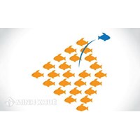 Khái niệm chuẩn mực pháp luật? Đặc điểm của chuẩn mực pháp luật?