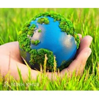 Nội dung chính trong phương pháp thống kê đất đai?