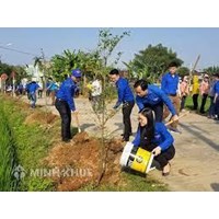 Các chinh sách và biện pháp thực hiện chính sách đối với thanh nien từ dủ 16 tuổi đến dưới 18 tuổi