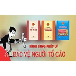 Việc bảo vệ quyền lợi cho người tố cáo là người làm việc theo hợp đồng lao động được quy định như thế nào ?