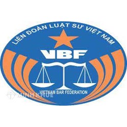 Tìm hiểu về cơ cấu tổ chức, chức năng, nhiệm vụ của Liên đoàn luật sư Việt Nam theo quy định pháp luật hiện nay