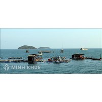 Hướng dẫn thủ tục đề nghị giao khu vực biển theo quy định mới