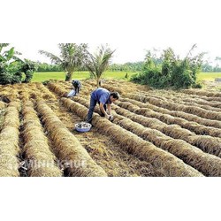 Thu gom, xử lý chất thải chăn nuôi, phụ phẩm nông nghiệp tái sử dụng cho mục đích khác theo quy định pháp luật hiện hành