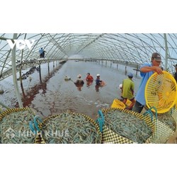 Trường hợp sử dụng khu vực biển nào phải nộp tiền sử dụng khu vực biển?