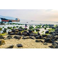 Hướng dẫn thủ tục sửa đổi, bổ sung Quyết định giao khu vực biển theo quy định mới
