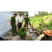 Điều kiện, thủ tục bổ nhiệm giám định viên tư pháp trong lĩnh vực tài nguyên môi trường