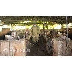 Quy định mới hướng dẫn thu gom, xử lý chất thải chăn nuôi, phụ phẩm cây trồng