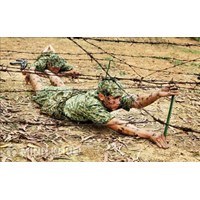 Thẩm quyền, quy trình của Bộ Quốc phòng, Bộ Công an báo cáo Chính phủ về cử, điều chỉnh và rút lực lượng Việt Nam
