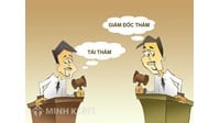 Giải quyết vụ án tranh chấp chia di sản thừa kế theo thủ tục phúc thẩm, giám đốc thẩm và tái thẩm?