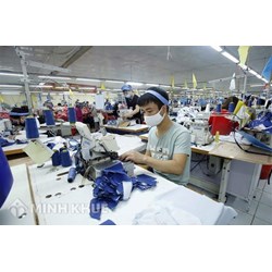 Hướng dẫn thực hiện Hiệp định UKVFTA về áp dụng biện pháp tự vệ song phương