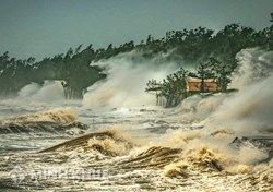 Quy định của pháp luật về dự báo, cảnh báo lốc, sét, mưa đá, rét hại, sương muối; cháy rừng do tự nhiên; và báo tin động đất, sóng thần