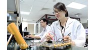 Quy định về tiêu chí phân loại, điều kiện thành lập, sáp nhập, hợp nhất, giải thể các tổ chức khoa học và công nghệ công lập