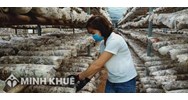 Mô hình hoạt động và cơ cấu tổ chức của quỹ hỗ trợ phát triển hợp tác xã trung ương