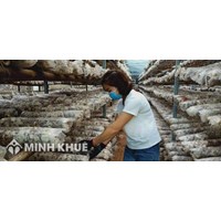 Mô hình hoạt động và cơ cấu tổ chức của quỹ hỗ trợ phát triển hợp tác xã trung ương