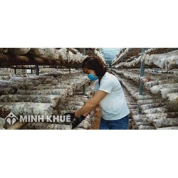 Mô hình hoạt động và cơ cấu tổ chức của quỹ hỗ trợ phát triển hợp tác xã trung ương