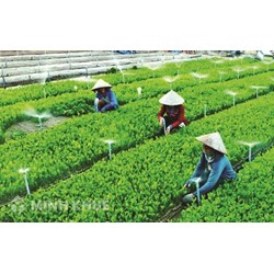 Mô hình hoạt động và cơ cấu tổ chức của quỹ hợp tác xã địa phương
