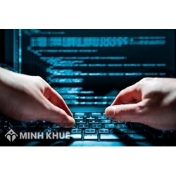 Nội dung chuyển nhượng quyền sử dụng kho số viễn thông, tên miền Internet