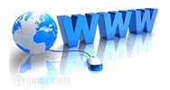 Nội dung đấu giá quyền sử dụng đối với kho số viễn thông và đấu giá quyền sử dụng tên miền Internet