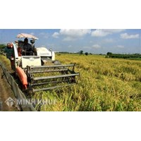 Nhiệm vụ và giải pháp chủ yếu về bảo đảm an ninh lương thực quốc gia đến năm 2030